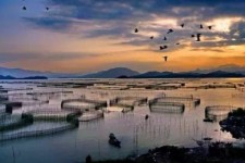 惠东伴游中国网景点丰富(旅游网介绍)