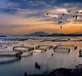 惠东伴游中国网景点丰富(旅游网介绍)
