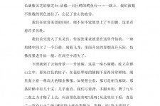 惠东旅游感想(张家界旅游感想)