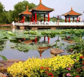 惠东长春旅游攻略(长春旅游攻略必去景点地图)