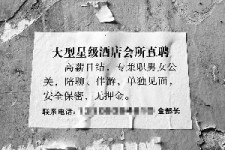 惠东珠海伴游雇用网(珠海游览社雇用信息)