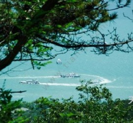 惠东中国伴游网与你分享旅游的点滴(中国伴游网与你分享旅游的点滴是什么)