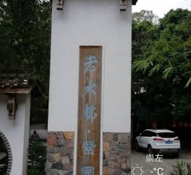 惠东关于伴游中国伴游你们伴得是什么游的信息