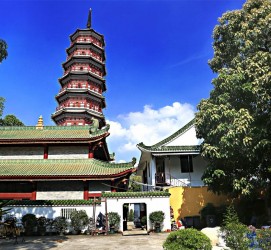 惠东广州自由行(广州 自由行)