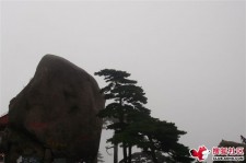 惠东上海伴游私家陪游雇用女模(上海伴游私家陪游雇用女模特)
