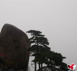 惠东上海伴游私家陪游雇用女模(上海伴游私家陪游雇用女模特)