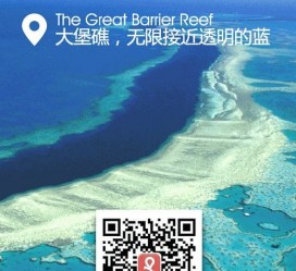 惠东中国250家旅行社结伴游新西兰(新西兰当地旅行社)