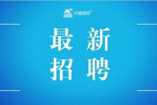 惠东镇江伴游雇用驾驶员(镇江驾驶员雇用苍生网)
