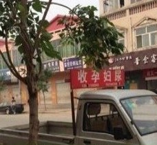 惠东上海伴游 用伴游造句大全(5