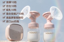 惠东奶模(奶模型)
