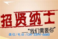 惠东酒店雇用伴游(酒店雇用伴游办事员)