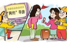 惠东伴游是什么