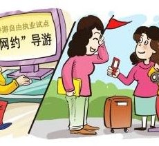 惠东伴游是什么