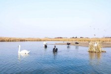 惠东南昌附近伴游小妹兼职(1534939978姐的微信德惠市)