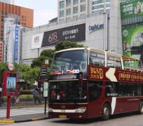 惠东上海私人伴游 上海过年怎么玩？这些“微游”线路了解下→