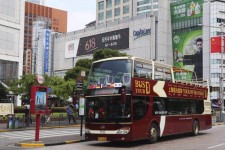 惠东上海私人伴游 上海过年怎么玩？这些“微游”线路了解下→