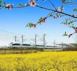 惠东高铁游(高铁游戏下载手机版)