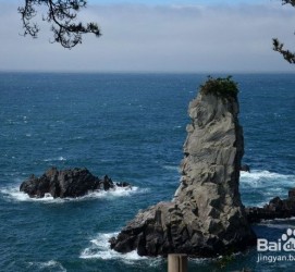惠东旅游全攻略(上海旅游全攻略)
