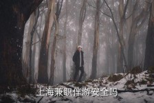惠东上海私人伴游 上海伴游，上海兼职伴游安全吗