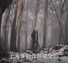 惠东上海私人伴游 上海伴游，上海兼职伴游安全吗