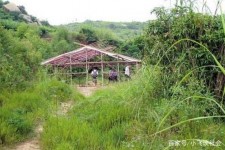 惠东北海伴游兼职雇用信息(北海伴游兼职雇用信息大全)