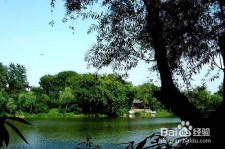 惠东西湖旅游攻略(上海到杭州西湖旅游攻略)