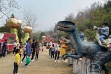 惠东中国伴游带你打卡网红南山竹海(南山竹海网上预约)