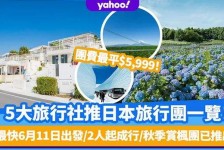 惠东旅游价格(旅游价格机制)