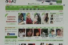 惠东home伴游中国(zarahome乳胶枕)