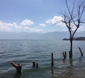 惠东洱海旅游攻略(洱海旅游攻略自由行)