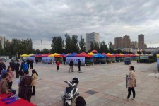 惠东通辽伴游雇用(哈尔滨伴游雇用)