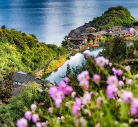惠东旅遊(旅游景点)