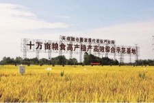 惠东关于成都商务伴游外围雇用的信息