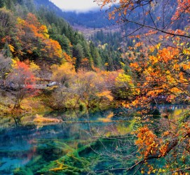 惠东四川旅游攻略(四川旅游攻略十五日游)