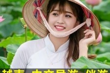 惠东日本关东伴游中国(日本关西旅行)