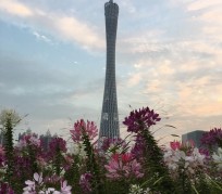 惠东广州旅游攻略(杭州到广州旅游攻略)