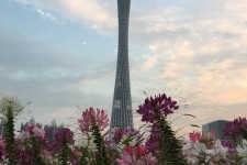 惠东广州旅游攻略(杭州到广州旅游攻略)