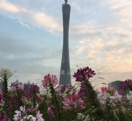 惠东广州旅游攻略(杭州到广州旅游攻略)
