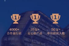 惠东上海私人伴游 ​ “小而美”的新时代：2020年国内新跟团消费报告
