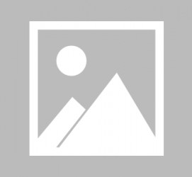 惠东最新导游伴游雇用信息(最新导游伴游雇用信息大全)