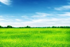 惠东上海伴游 上海模特伴游微信号的交友宣言