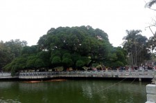 惠东福州旅游攻略(福州旅游攻略二日游)
