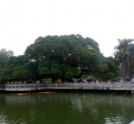 惠东福州旅游攻略(福州旅游攻略二日游)