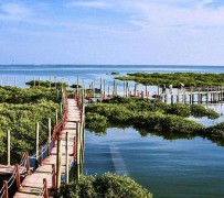 惠东旅游哪里好玩(云南旅游哪里好玩)