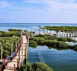 惠东旅游哪里好玩(云南旅游哪里好玩)
