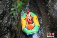 惠东伴游中国三亚(三亚结伴旅游网)