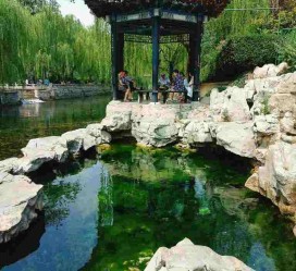 惠东济南旅游攻略(青岛威海济南旅游攻略)