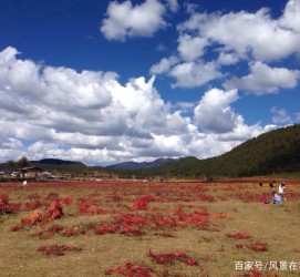 惠东旅游去处(暑期最好的旅游去处)