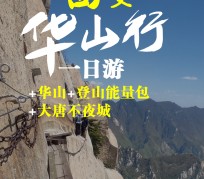 惠东一日游(一日游需要准备些什么东西?)