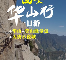 惠东一日游(一日游需要准备些什么东西?)